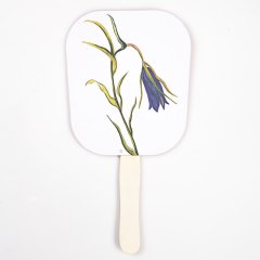 Fritillaria Stribryni Yelpaze