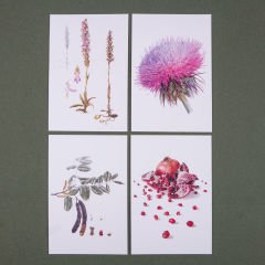 Flora Araştırmalar Derneği Kartpostal Seti - No.1