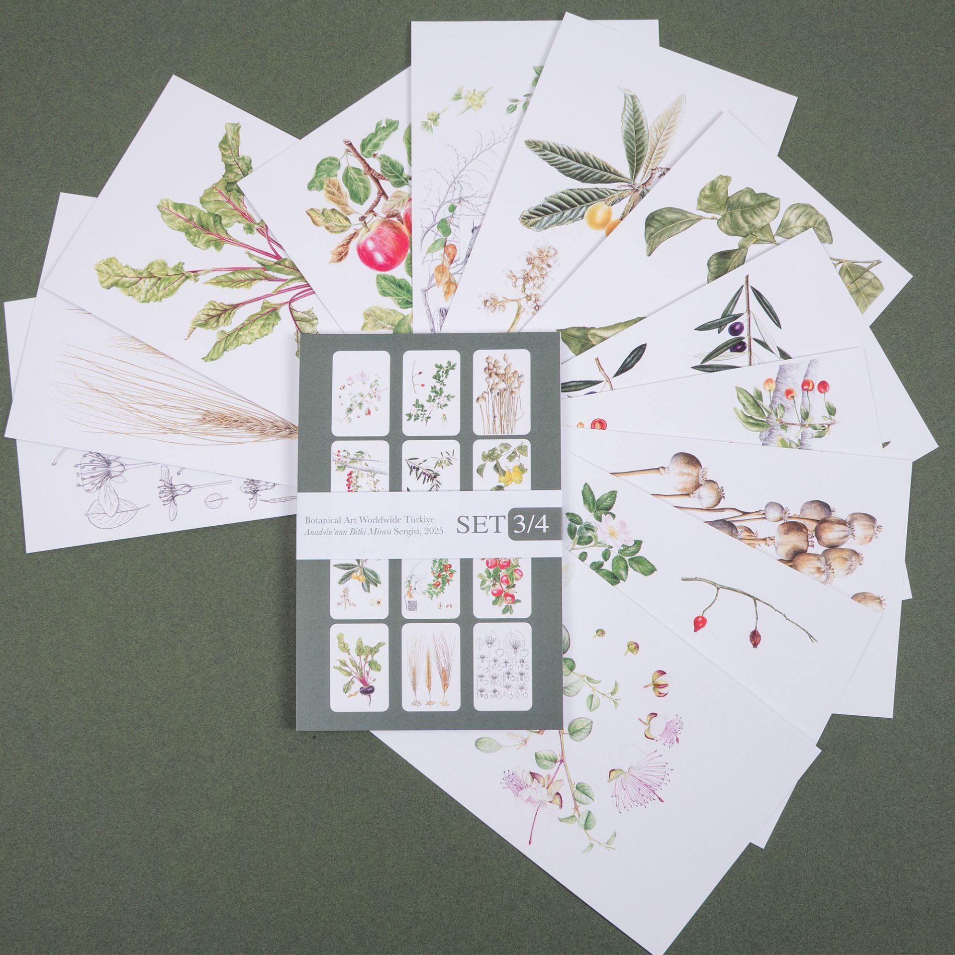 Flora Araştırmalar Derneği Kartpostal Seti - No.3